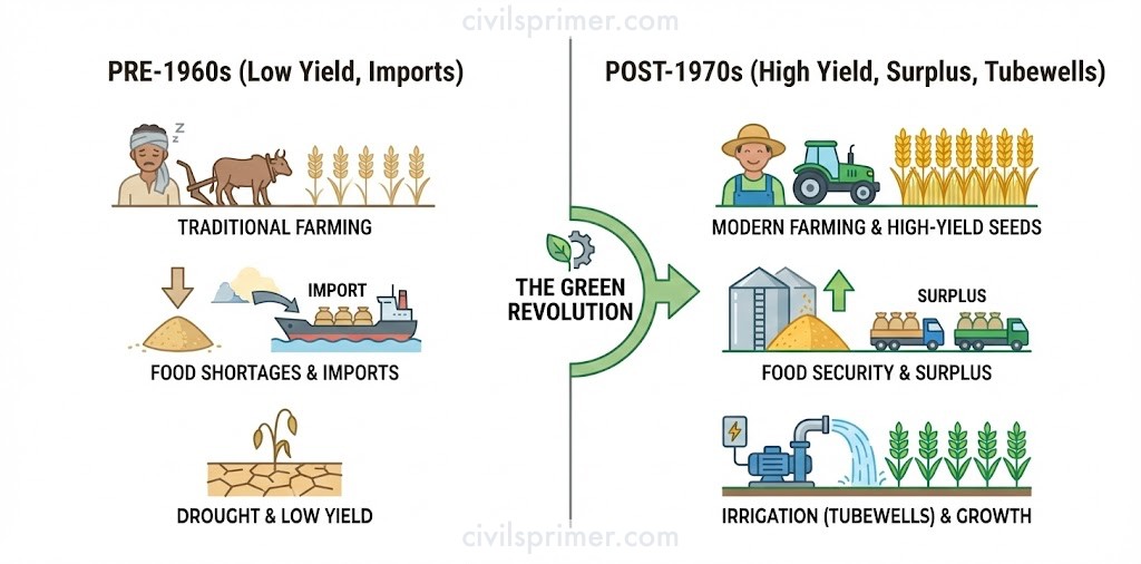 The Impact of the Green Revolution UPSC Economy Simplified