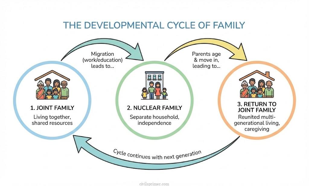 development cycle of family