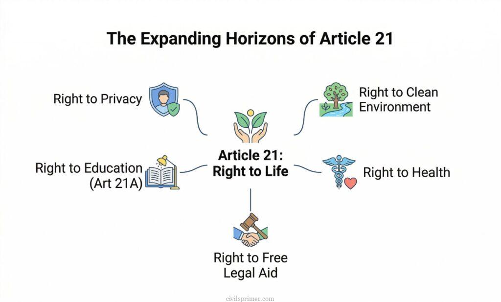 The Expanding Horizons of Article 21